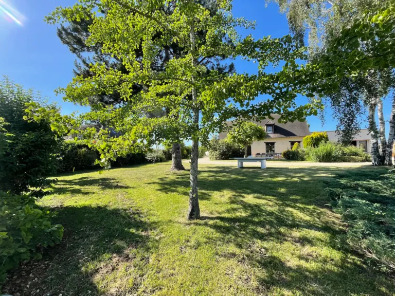 Villa Paloma